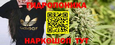 ГАЛЛЮЦИНОГЕННЫЕ ГРИБЫ Аргун