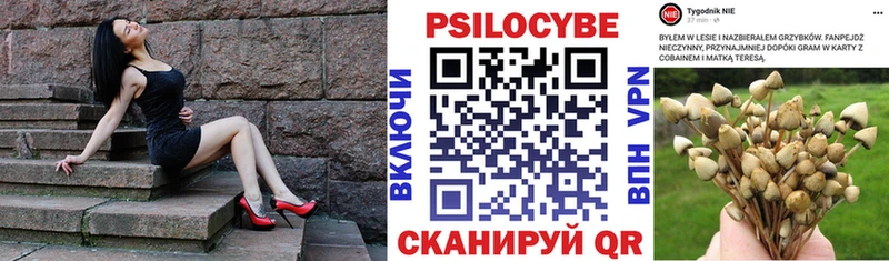 Псилоцибиновые грибы мицелий  закладки  Баксан 