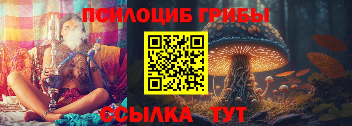 Псилоцибиновые грибы Psilocybine cubensis  где купить наркоту  Баксан  Вход с VPN 
