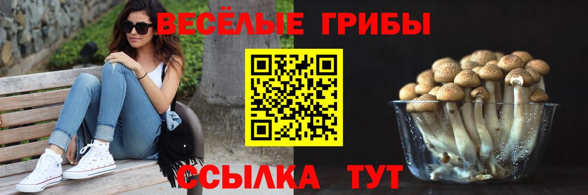 Галлюциногенные грибы мухоморы  где найти наркотики  Баксан 