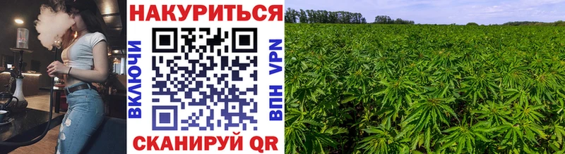 продажа наркотиков  Баксан  hydra как зайти  Бошки марихуана Ganja 